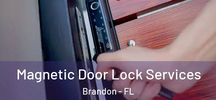 Magnetic Door Lock Services Brandon - FL